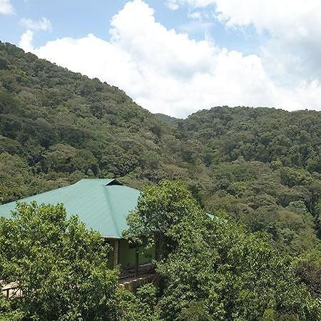 Gorilla Hills Eco-Lodge Kisoro Exteriör bild