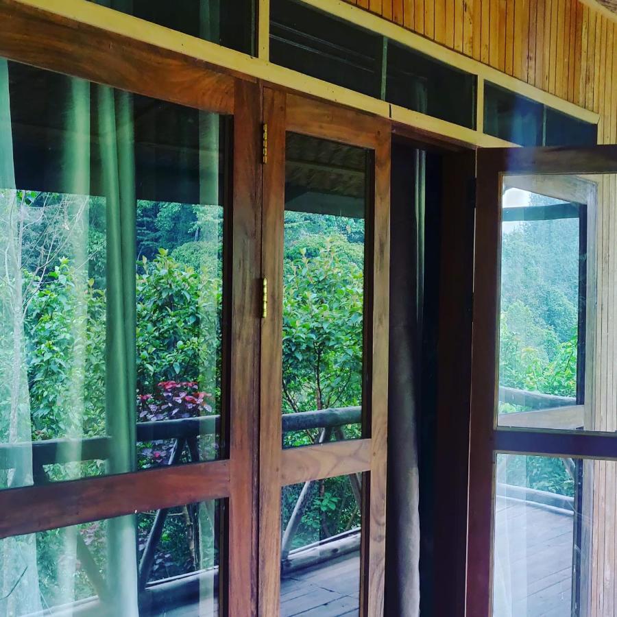 Gorilla Hills Eco-Lodge Kisoro Exteriör bild