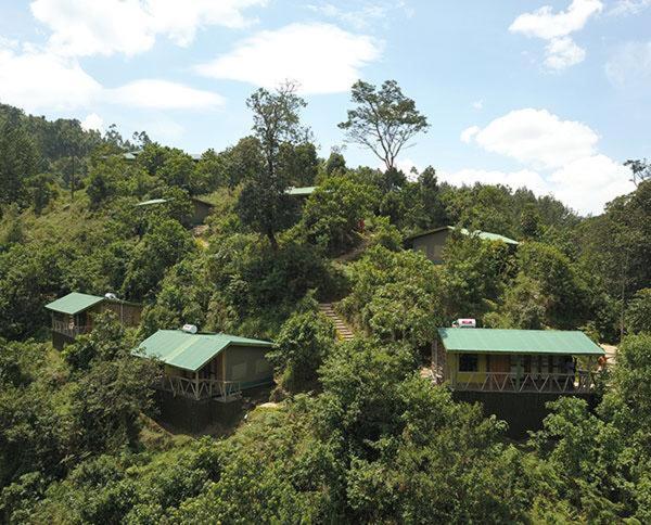 Gorilla Hills Eco-Lodge Kisoro Exteriör bild