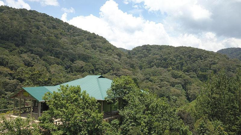 Gorilla Hills Eco-Lodge Kisoro Exteriör bild