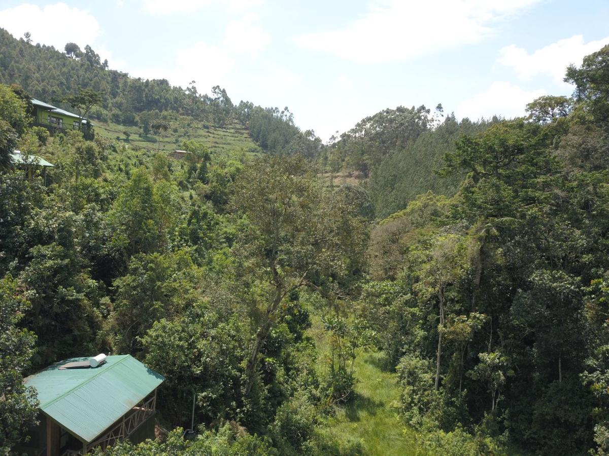 Gorilla Hills Eco-Lodge Kisoro Exteriör bild