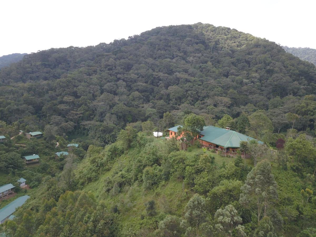 Gorilla Hills Eco-Lodge Kisoro Exteriör bild