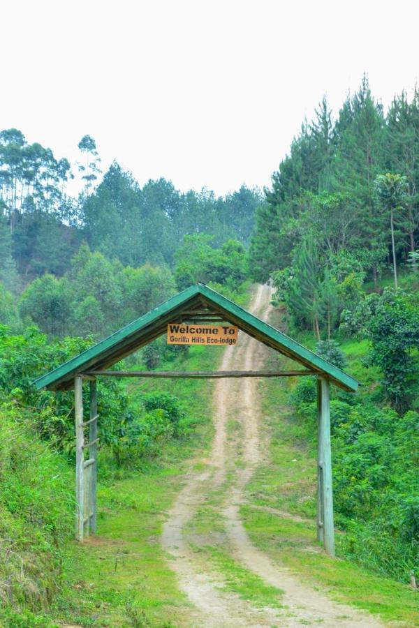 Gorilla Hills Eco-Lodge Kisoro Exteriör bild